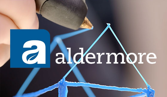 Aldermore Portfolio Sting